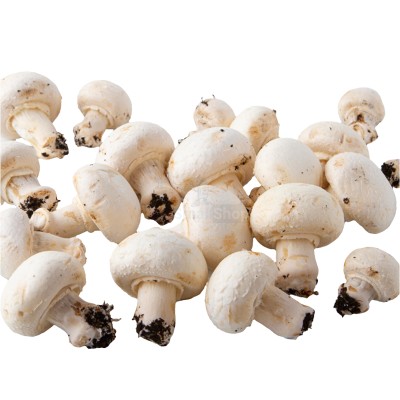 Шампиньоны свежие 500 г - купить в Воротниково